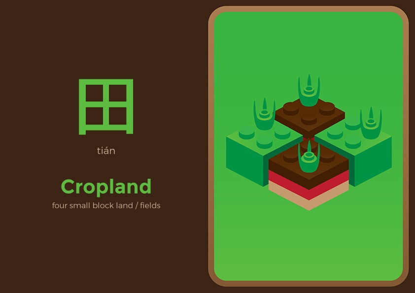 cropland