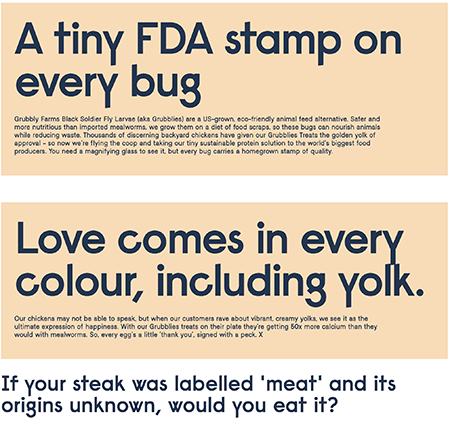 good copy for a website sample