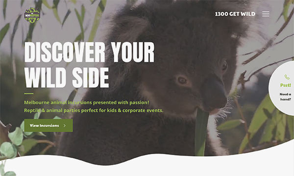 homepage header showing a koala