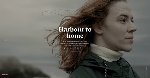 homepage for Barbordgroup with cinematic scene