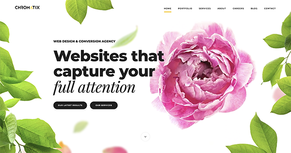 Homepage header with time lapse of flower